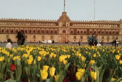 PALACIO NACIONAL EN LA CIUDAD DE MEXICO