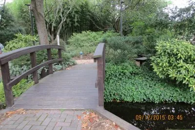 Bridge in a garden