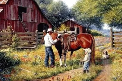 JR 449