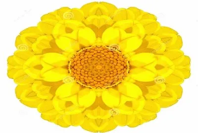 2423