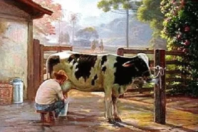 JR 452 jigsaw puzzle