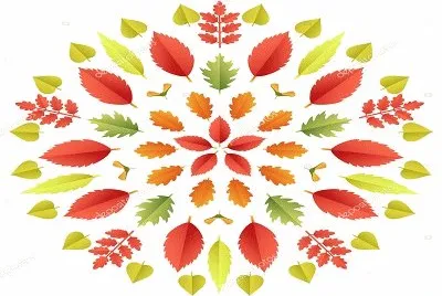 2445 jigsaw puzzle