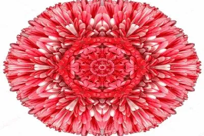 2448