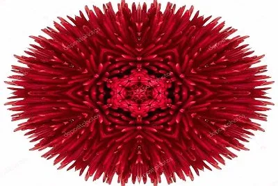 2450