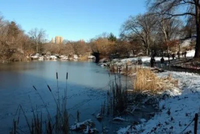Winter in Central Park