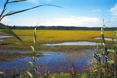 marais d 'Orx