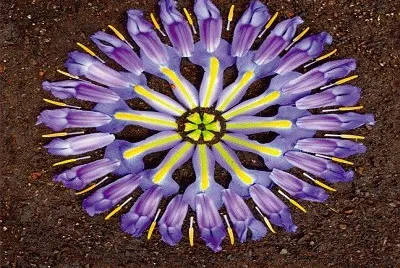 2482