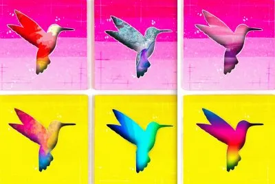 Oiseaux