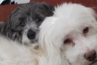 togetherness