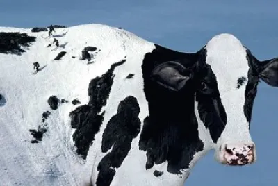 ski Ã  la ferme