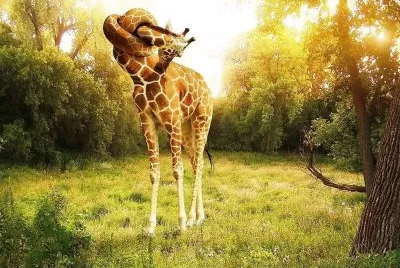 aÃ¯e