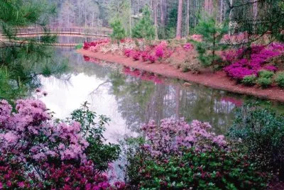 paisaje jigsaw puzzle