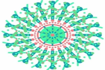 2509