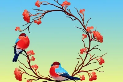 Oiseaux