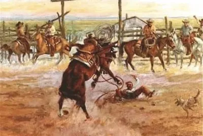 bronco