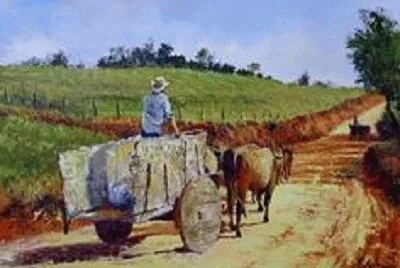 JR 526 jigsaw puzzle