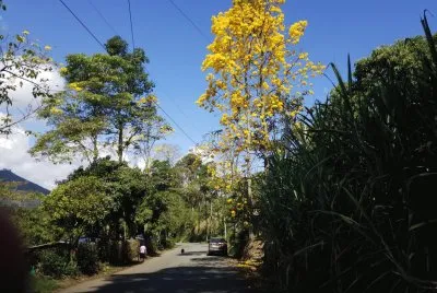PAISAJE ANTIOQUIA