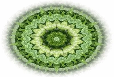 2584
