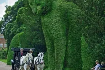 imagem jigsaw puzzle