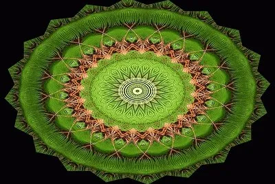 2597