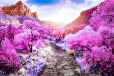 spring #223 jigsaw puzzle