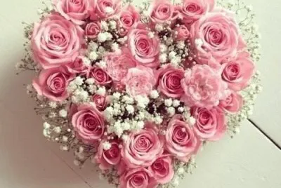 flores