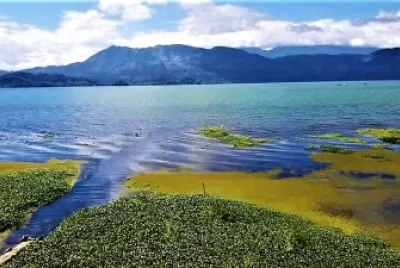 CampiÃ±a hondureÃ±a,