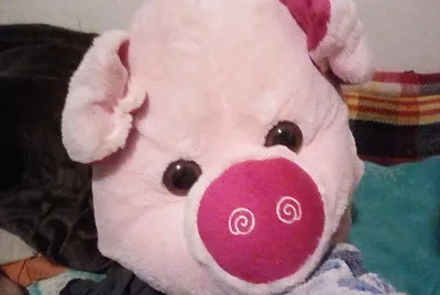 Cochito rosa