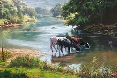 JR 549 jigsaw puzzle