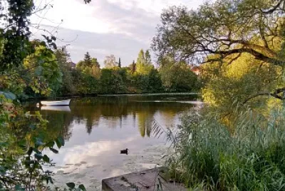 meertje