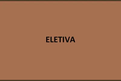 פאזל של ELETIVA 4
