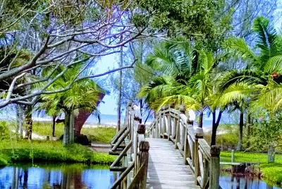imagem jigsaw puzzle