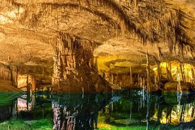 Coves del Drac