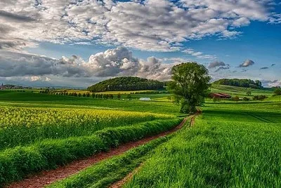 imagem jigsaw puzzle