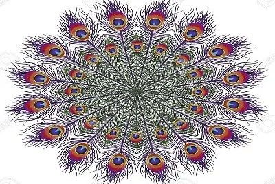 2806