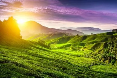 imagem jigsaw puzzle