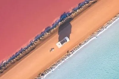 853