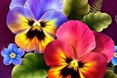 So Beautiful jigsaw puzzle