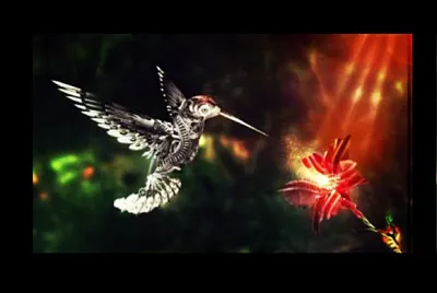 colibrÃ­ mÃ¡gico