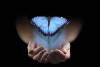 mariposa azul en las manos