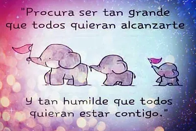 FRASES jigsaw puzzle