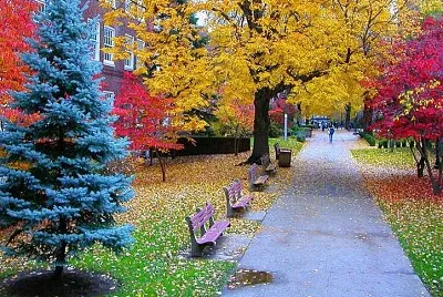 naturaleza
