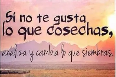 FRASES