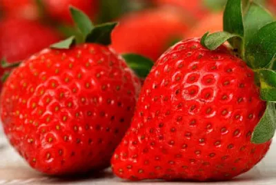 FRUTAS