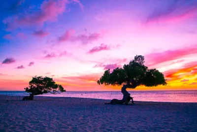 playa jigsaw puzzle