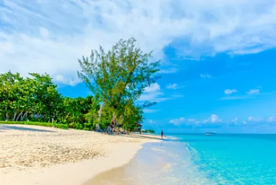 playa jigsaw puzzle