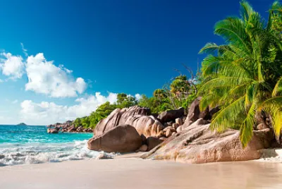 playa jigsaw puzzle