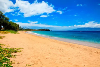 playa jigsaw puzzle
