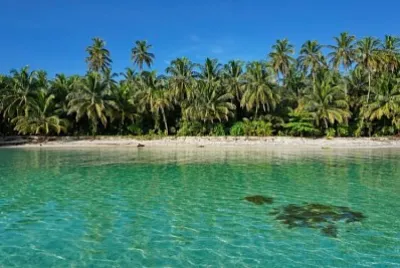 playa jigsaw puzzle