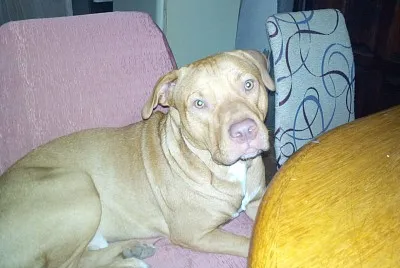 Odin